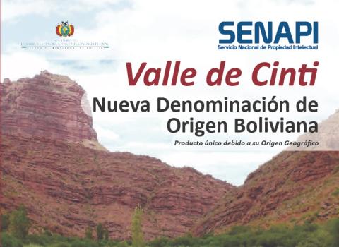 BOLETIN 20190206 01 DENOMINACIÓN DE ORIGEN - VALLE DE CINTI