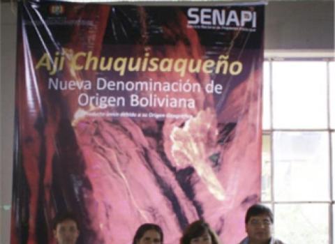 PRENSA 20140324 01 NUEVA DENOMINACIÓN DE ORIGEN BOLIVIANA DO AJI CHUQUISAQUEÑO