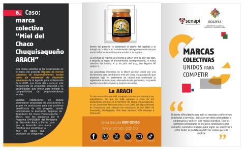 Caso: marca colectiva "Miel del Chaco Chuquisaqueño ARACH"
